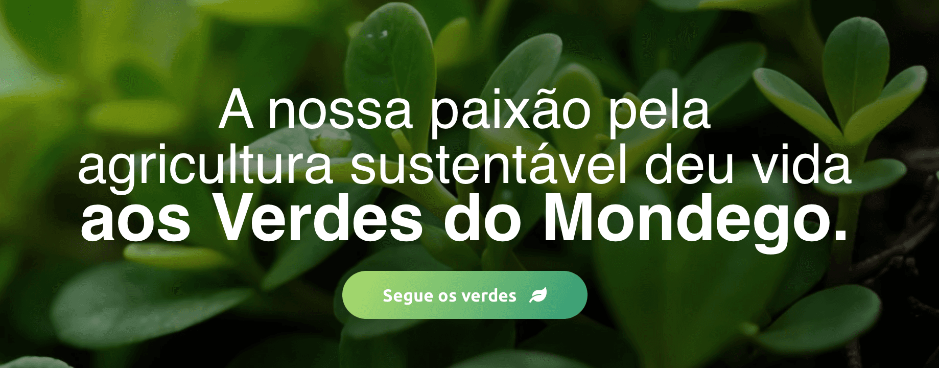 Verdes do Mondego